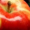 16 Slow Cooker Recipes with Apples
