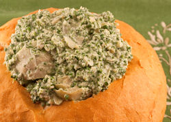 Party Appetizer Recipes